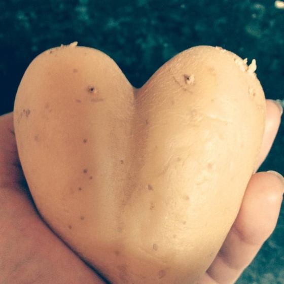 potato love